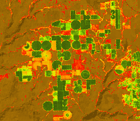 NDVI-Beispiel NDVI-Beispiel